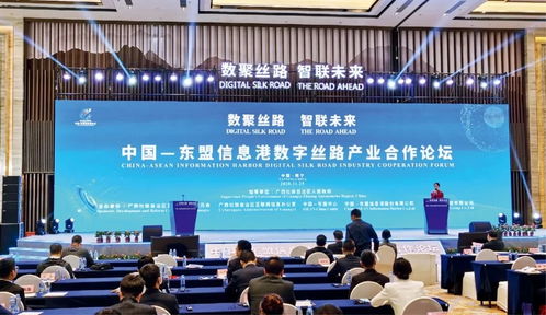 推動(dòng) 數(shù)字絲綢之路 發(fā)展 構(gòu)建全球數(shù)字合作新格局