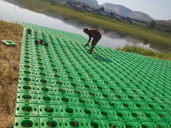 人工水生植物浮島