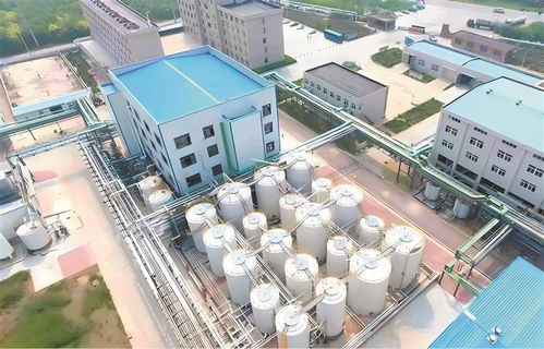 高青 以工業技改驅動引擎，加速企業轉型升級與高質量發展